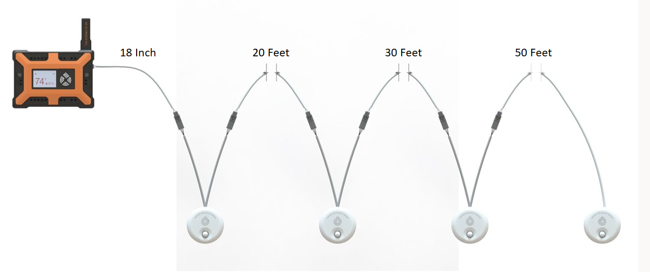 Daisy Chaining Capabilities of Sensors 75F Renatus